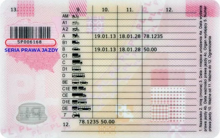 Historie z egzaminu na prawo jazdy