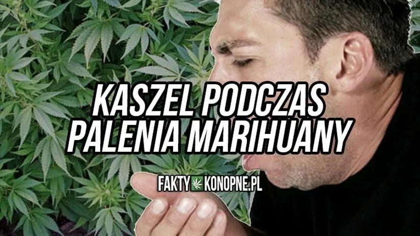 Naturalny mechanizm oczyszczania płuc