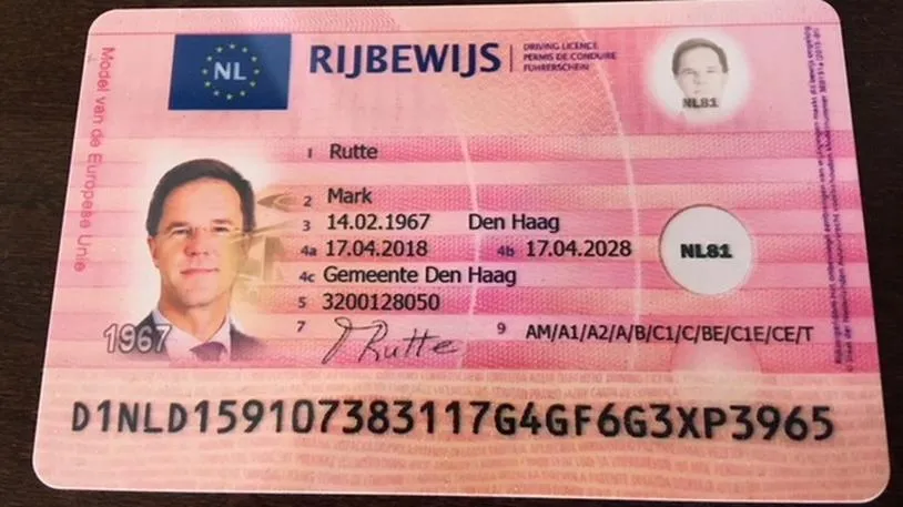 Ubezpieczenie pojazdu Holandia